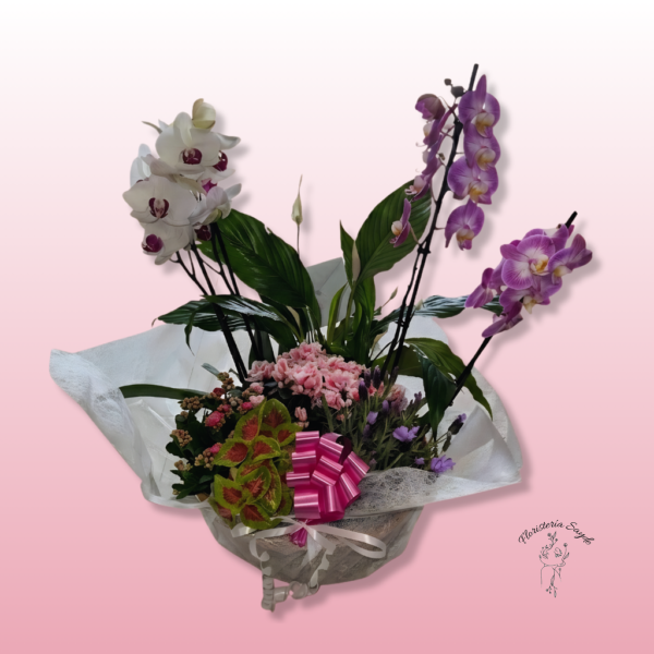Cesta de orquídeas y plantas naturales