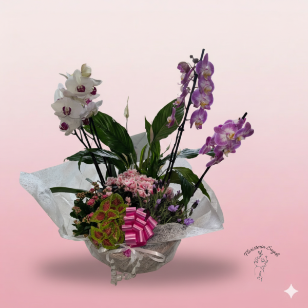 Cesta de orquídeas y plantas naturales