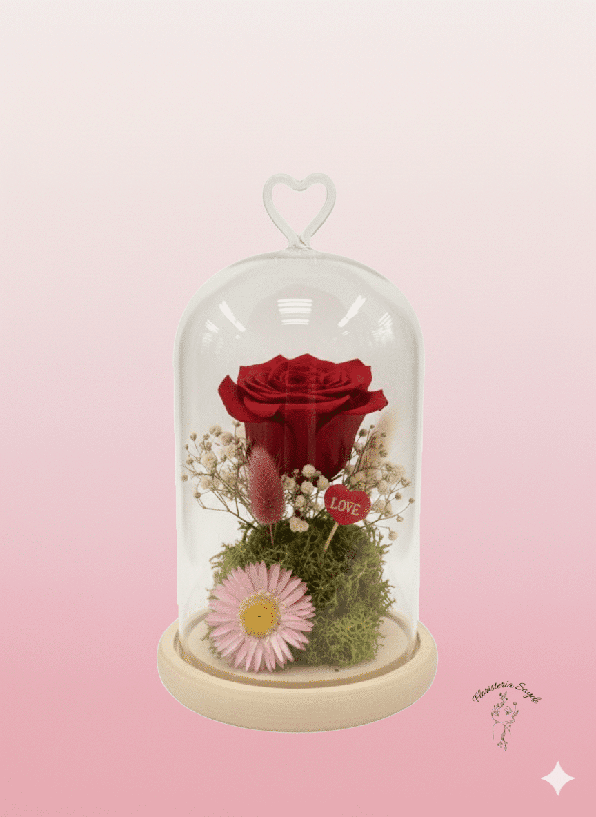 Rosa preservada en cúpula Rosa preservada en cúpula