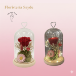 cúpulas preservadas