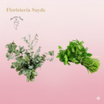 aromáticas y medicinales