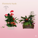 arreglos con plantas