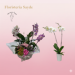 orquídeas a domicilio