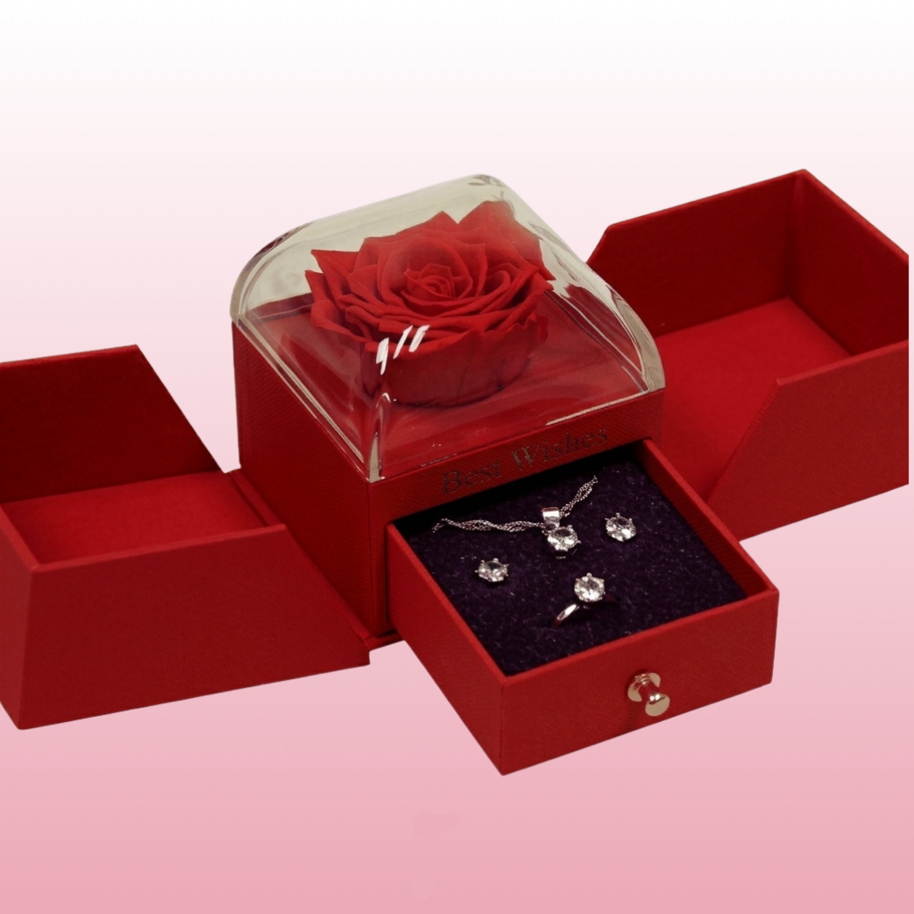 Ideas para regalar en Zaragoza 7 Ideas para regalar en Zaragoza 6