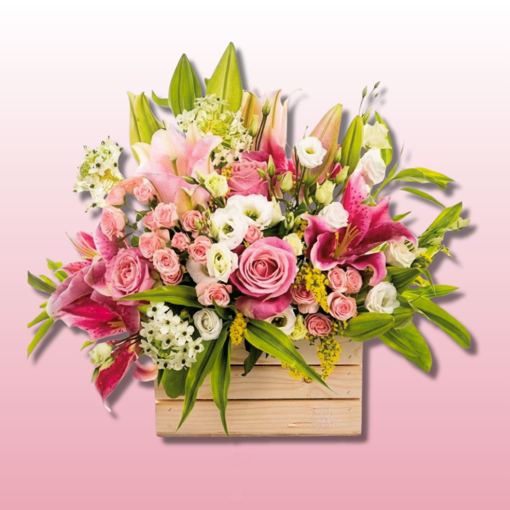 Ideas para regalar en Zaragoza 5 Ideas para regalar en Zaragoza 4