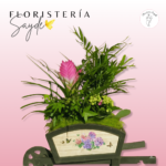 Arreglos de plantas